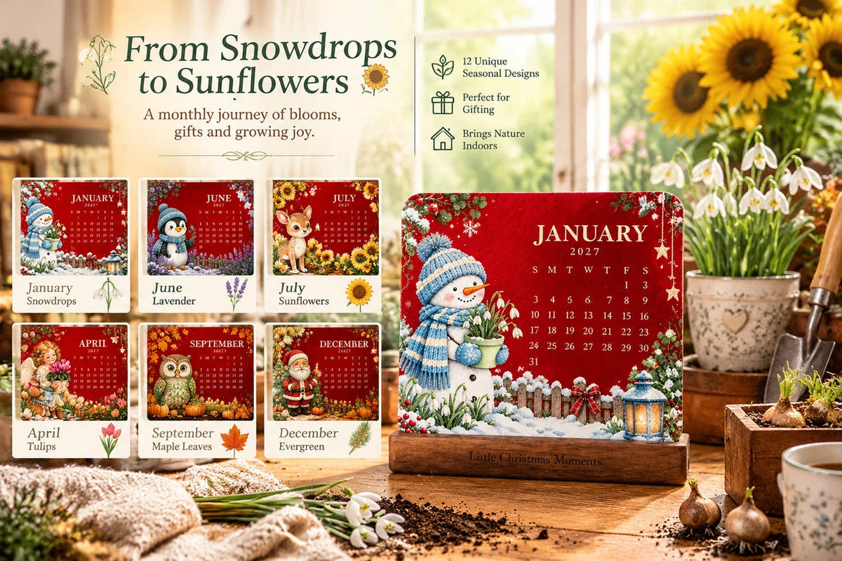 🎄🗓️ Edición Limitada de Navidad — 🪴✨ Calendario Ecológico y Plantable “Eterno” 2027