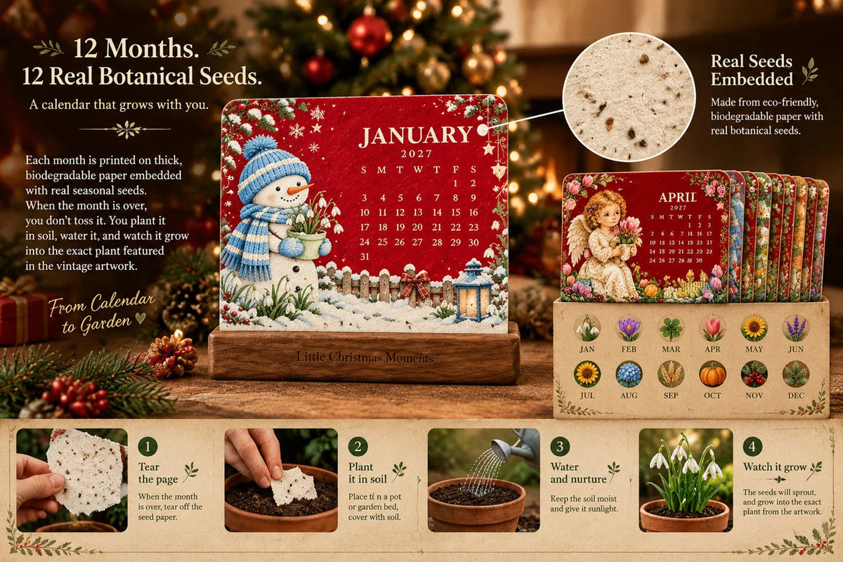 🎄🗓️ Edición Limitada de Navidad — 🪴✨ Calendario Ecológico y Plantable “Eterno” 2027